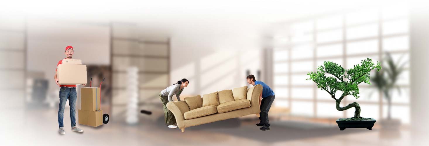 cheap packers and movers